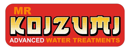 Mr Koizumi