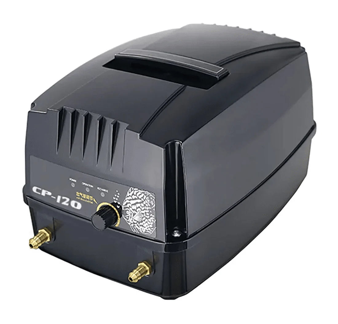 Dual voltage Airpump With Battery Backup