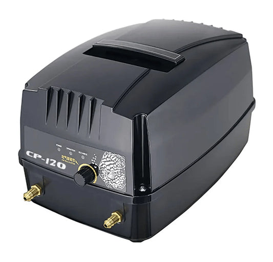 Dual voltage Airpump With Battery Backup