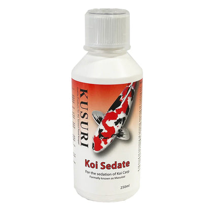 Kusuri Koi Sedate