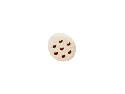 Mountain Tree Lotus Root Nitro Ring 2 5 Litres