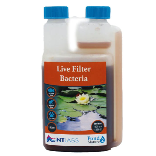NT Labs Live Filter Bacteria