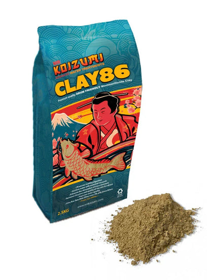 Mr Koizumi Clay86