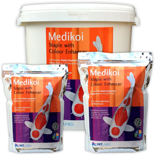 NT Labs Medikoi - Staple with colour 6mm